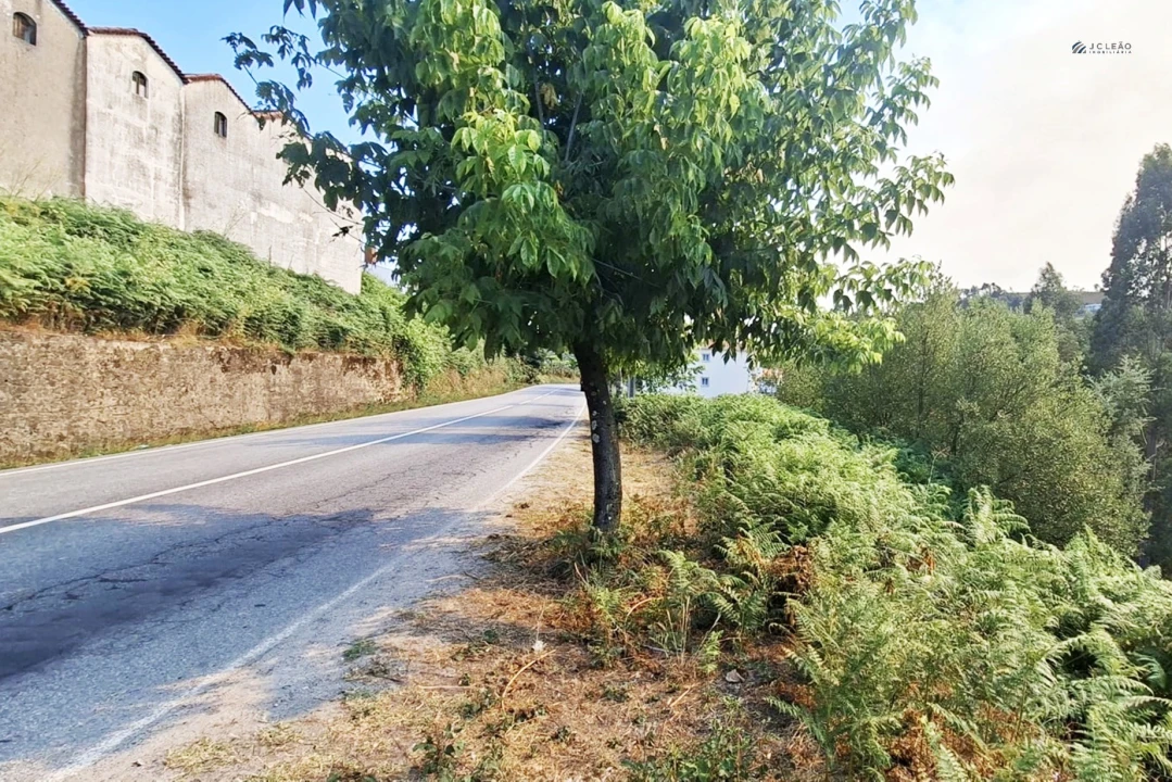 Terreno Agricola ou Rústico para Venda em Lustosa e Barrosas (Santo Estêvão) Foto 2