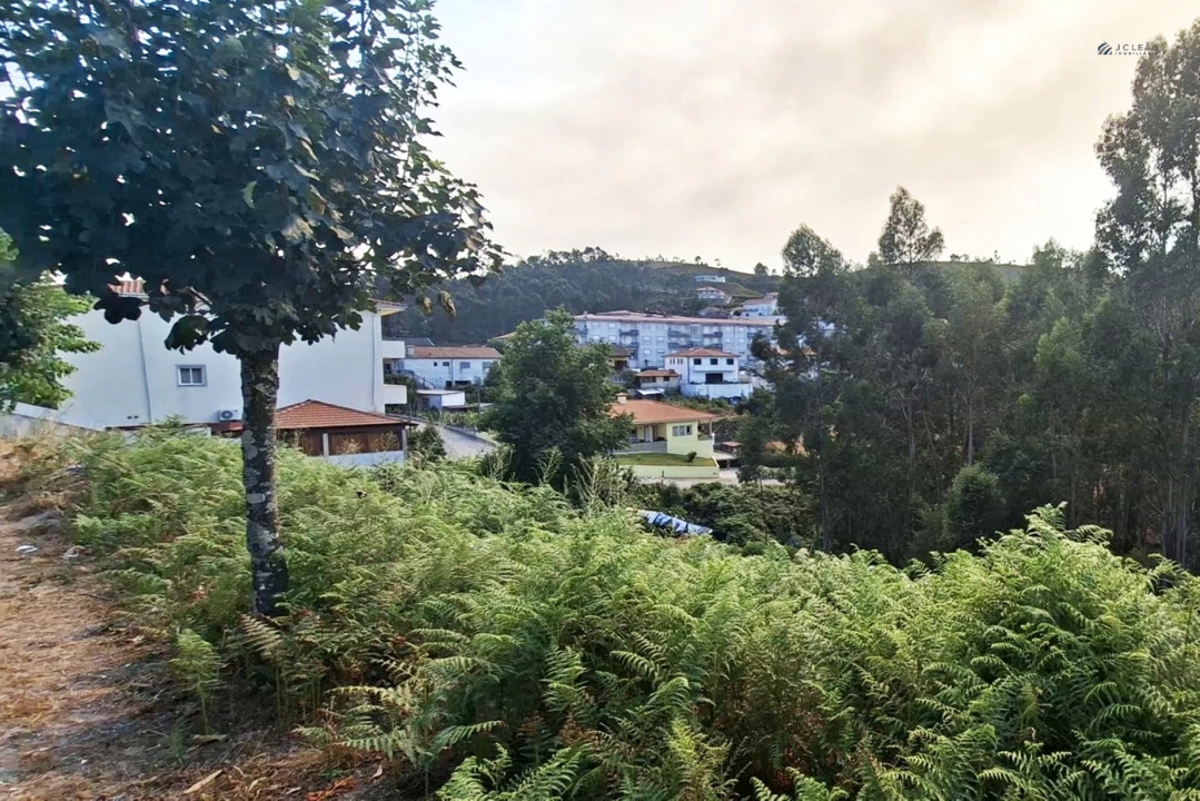 Terreno Agricola ou Rústico para Venda em Lustosa e Barrosas (Santo Estêvão) Foto 4