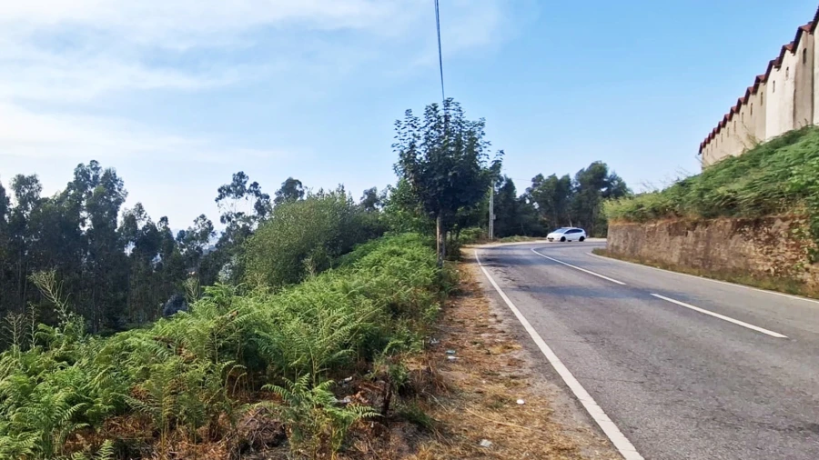 Terreno Agricola ou Rústico para Venda em Lustosa e Barrosas (Santo Estêvão)
