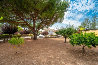 Moradia T3 para Venda em Pataias e Martingança