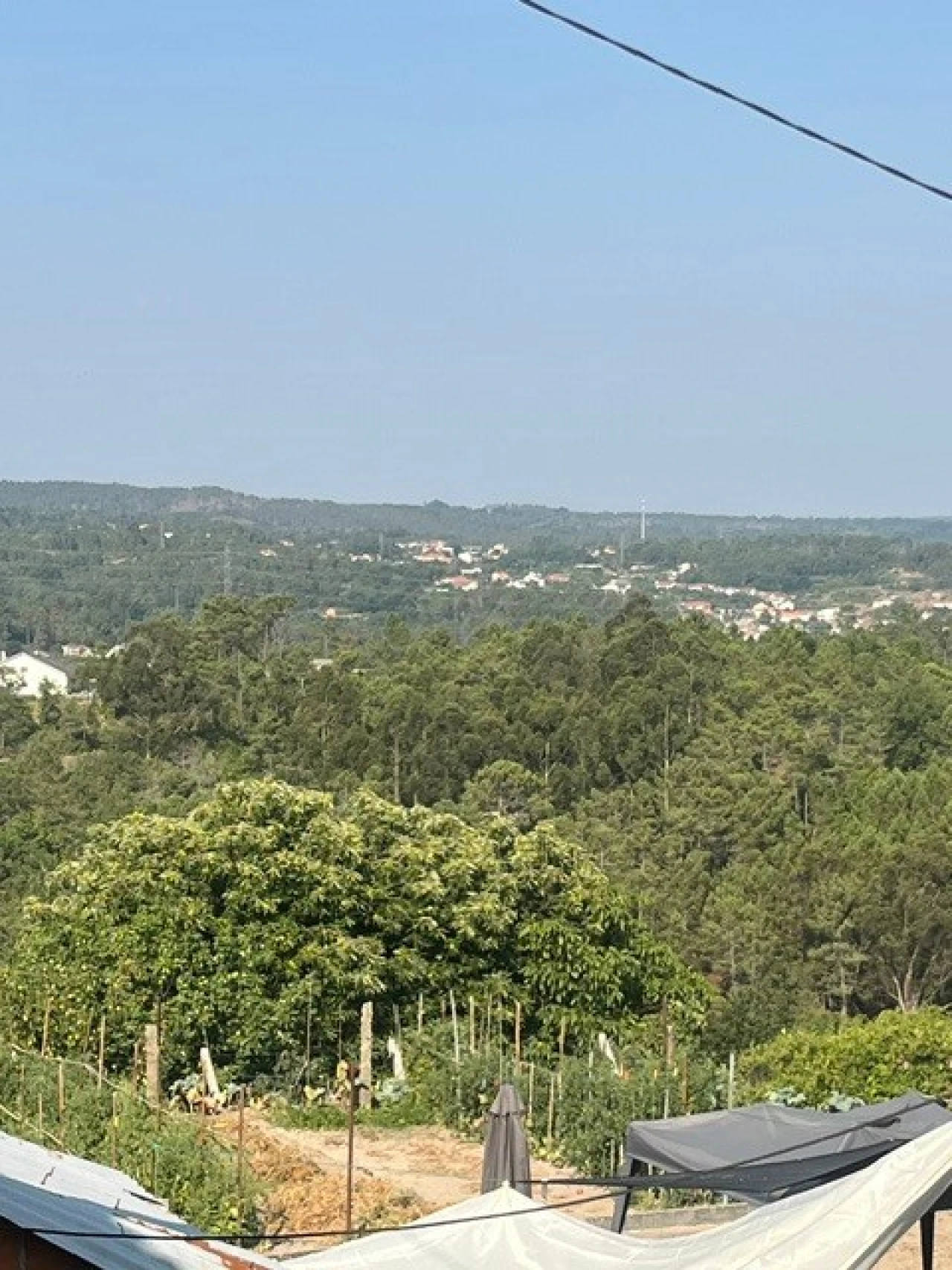 Moradia T0 para Venda em Bodiosa Foto 16