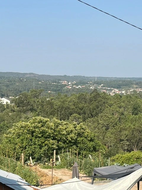 Moradia T0 para Venda em Bodiosa