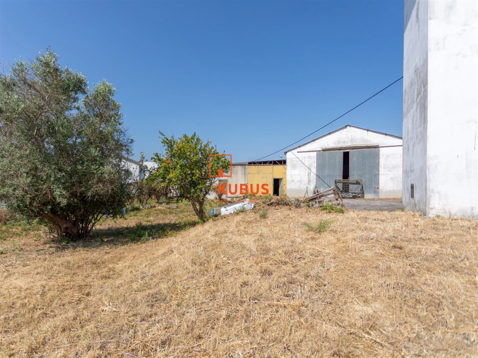Armazém para Venda em Alcanena e Vila Moreira Foto 8