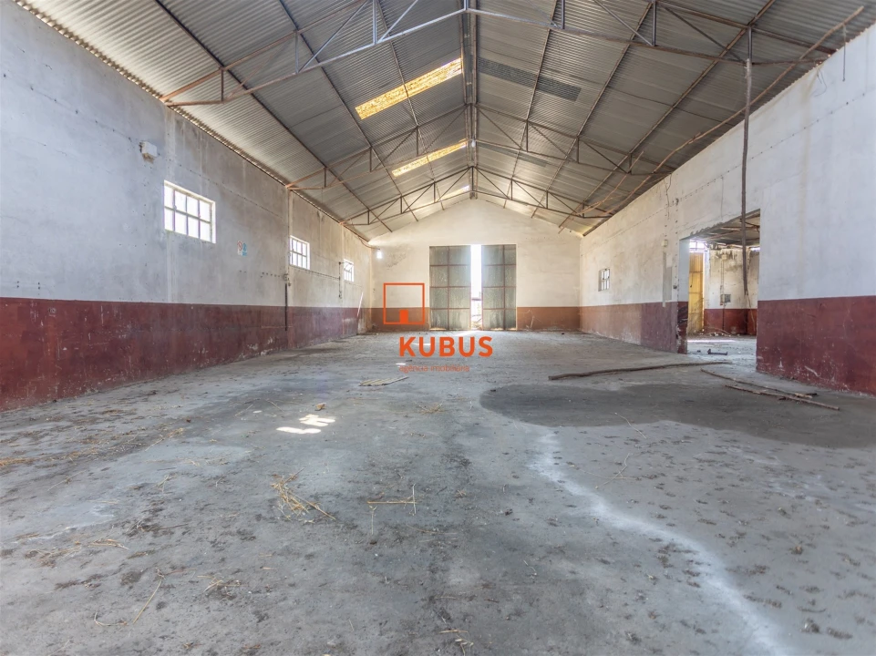 Armazém para Venda em Alcanena e Vila Moreira Foto 17
