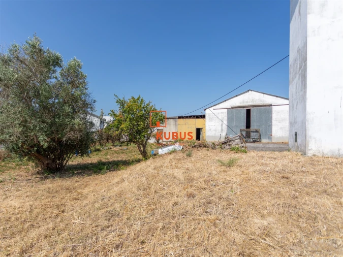 Armazém para Venda em Alcanena e Vila Moreira Foto 8