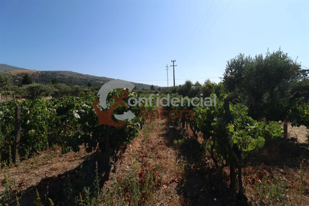 Quinta T3 para Venda em Melo e Nabais Foto 5