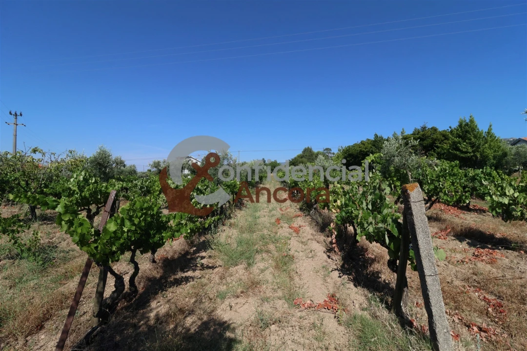 Quinta T3 para Venda em Melo e Nabais Foto 25