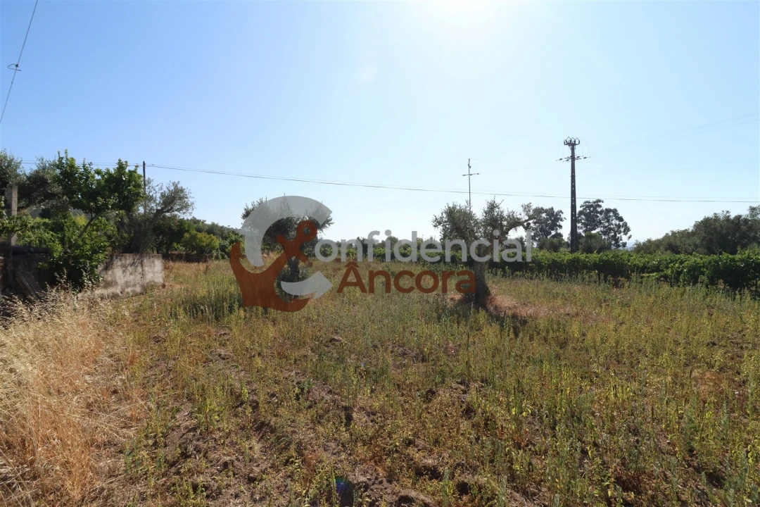 Quinta T3 para Venda em Melo e Nabais Foto 18