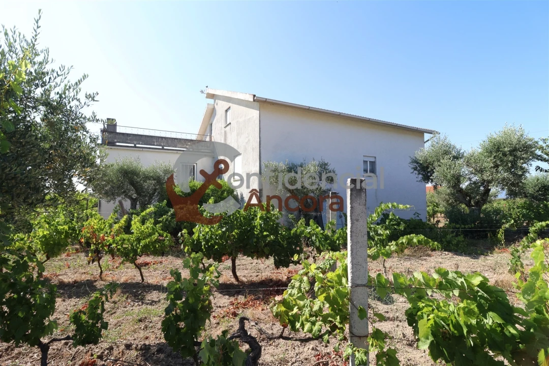 Quinta T3 para Venda em Melo e Nabais Foto 36