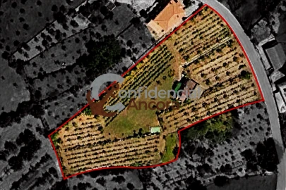 Quinta T3 para Venda em Melo e Nabais