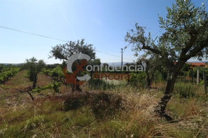 Quinta T3 para Venda em Melo e Nabais