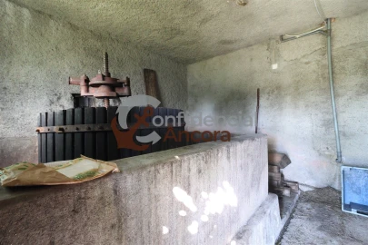 Quinta T3 para Venda em Melo e Nabais