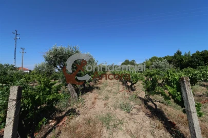 Quinta T3 para Venda em Melo e Nabais