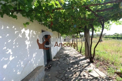 Quinta T3 para Venda em Melo e Nabais