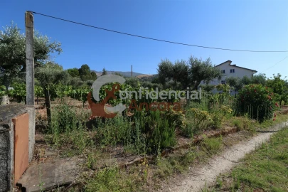 Quinta T3 para Venda em Melo e Nabais