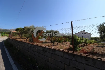 Quinta T3 para Venda em Melo e Nabais