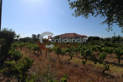 Quinta T3 para Venda em Melo e Nabais
