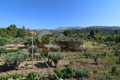 Quinta T3 para Venda em Melo e Nabais