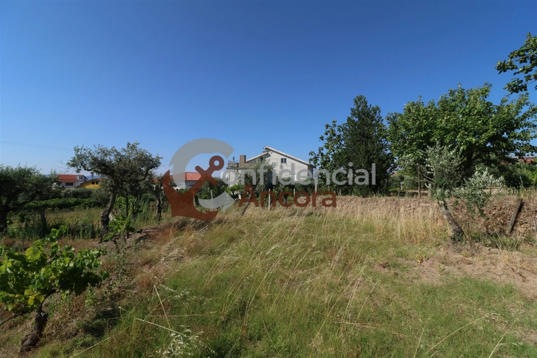 Quinta T3 para Venda em Melo e Nabais Foto 30
