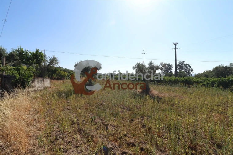 Quinta T3 para Venda em Melo e Nabais Foto 18