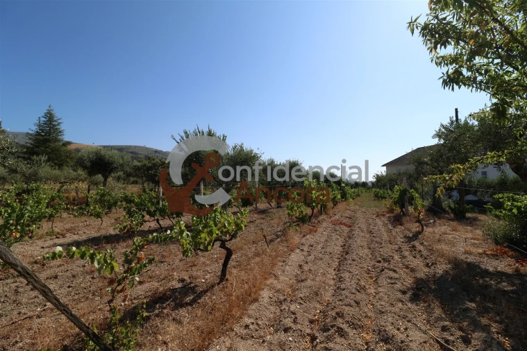 Quinta T3 para Venda em Melo e Nabais Foto 39