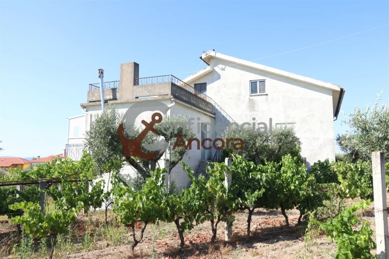 Quinta T3 para Venda em Melo e Nabais Foto 34