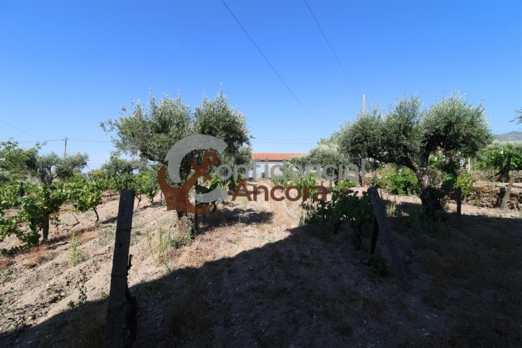 Quinta T3 para Venda em Melo e Nabais Foto 10