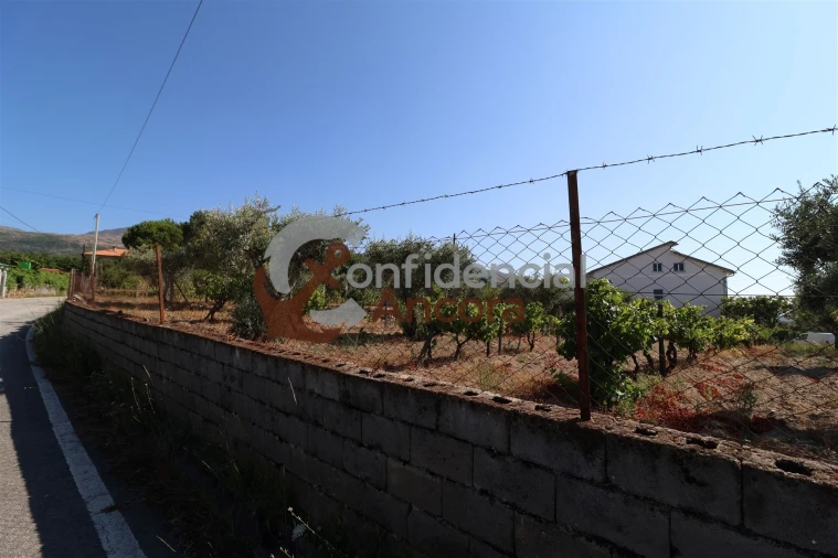 Quinta T3 para Venda em Melo e Nabais Foto 12