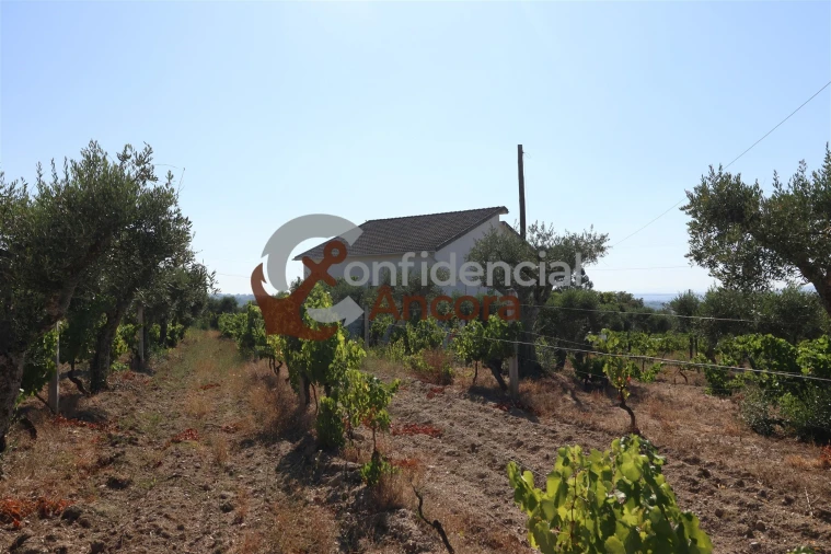Quinta T3 para Venda em Melo e Nabais Foto 38