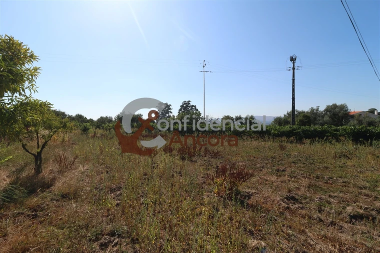 Quinta T3 para Venda em Melo e Nabais Foto 22