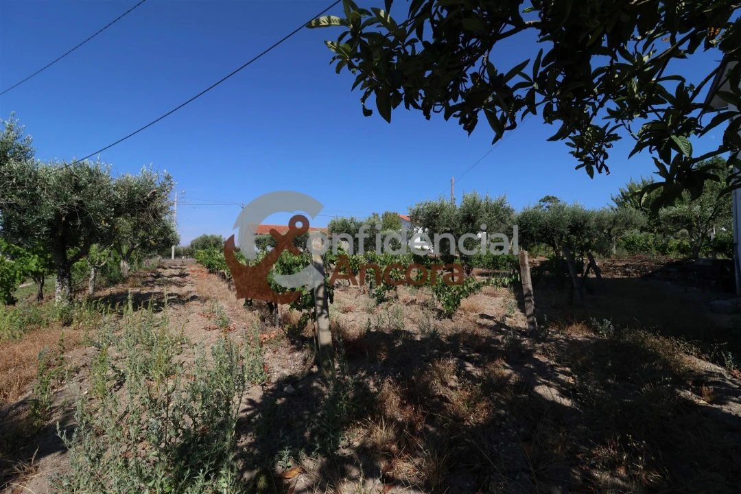Quinta T3 para Venda em Melo e Nabais Foto 9