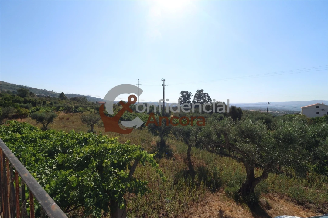 Quinta T3 para Venda em Melo e Nabais Foto 47
