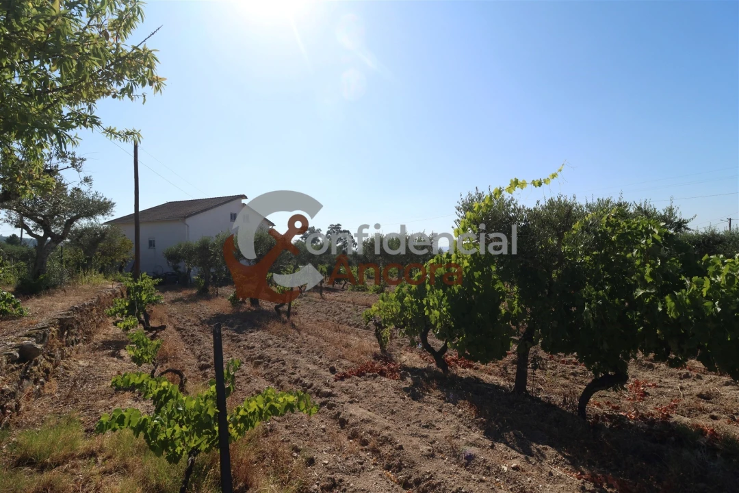 Quinta T3 para Venda em Melo e Nabais Foto 40