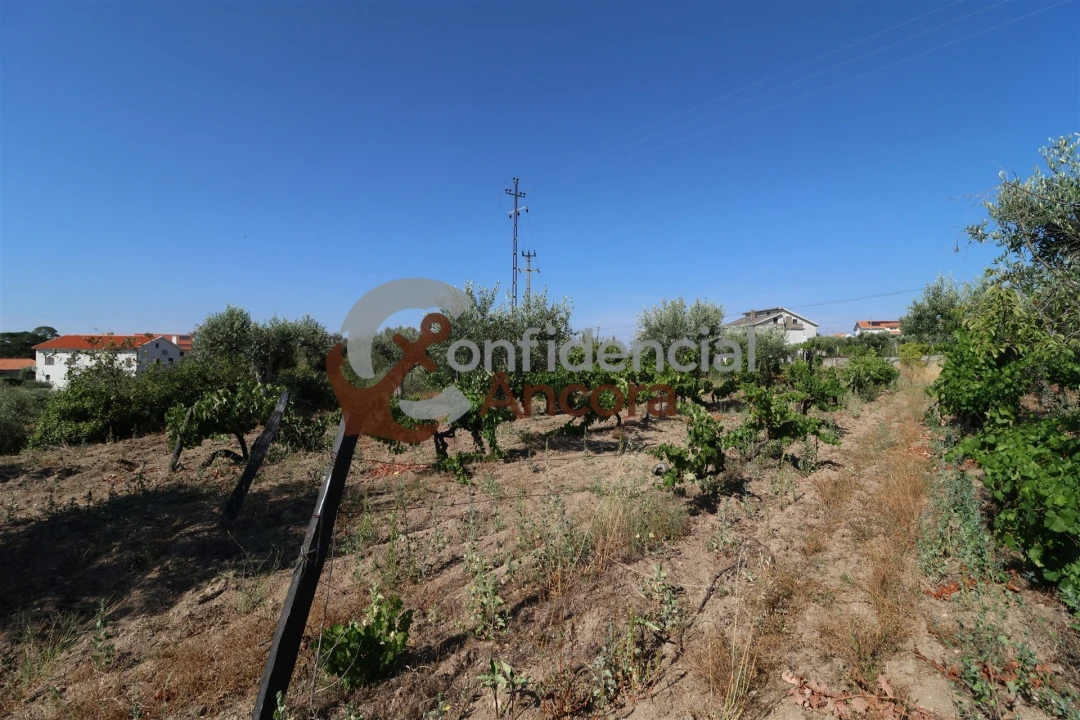 Quinta T3 para Venda em Melo e Nabais Foto 23