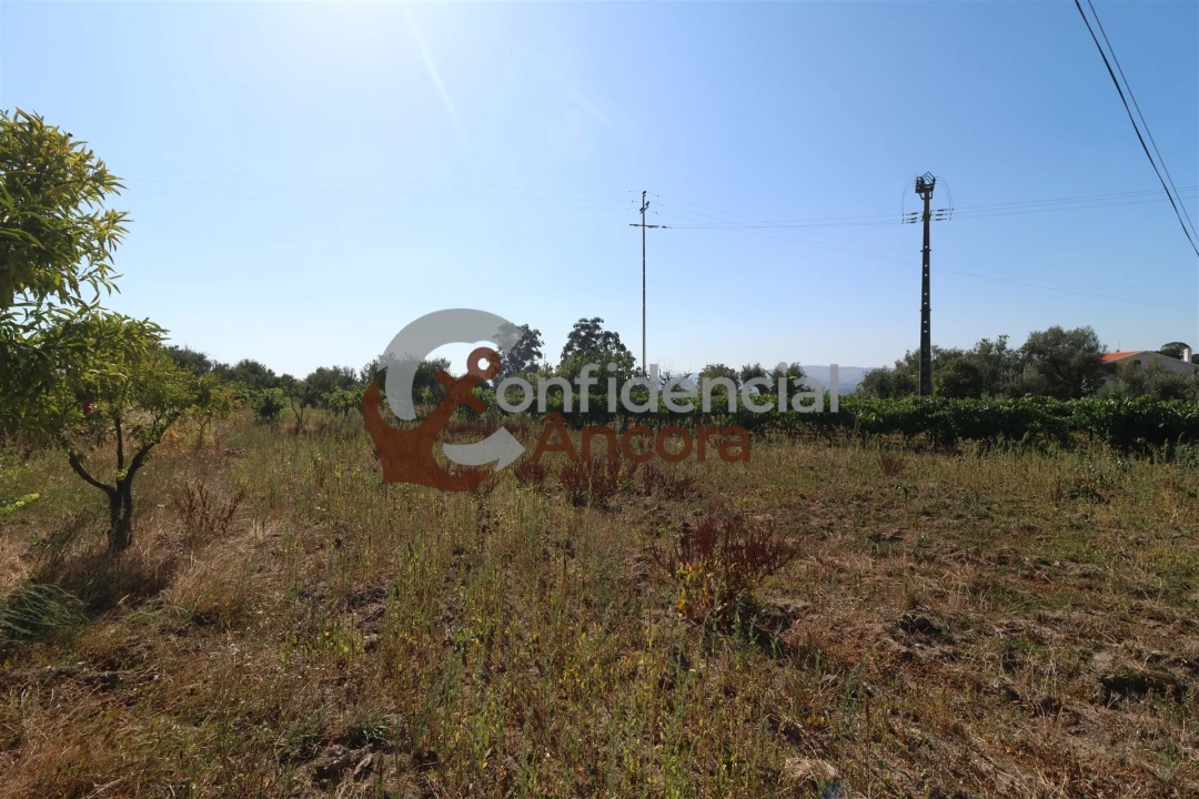 Quinta T3 para Venda em Melo e Nabais Foto 22