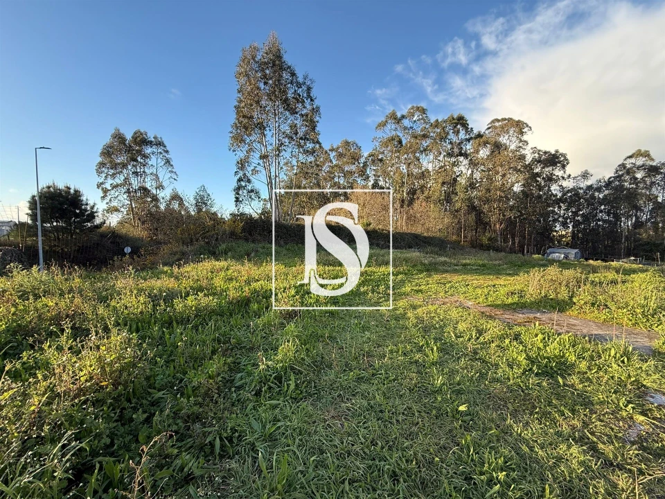 Terreno para Venda em Arvore Foto 1