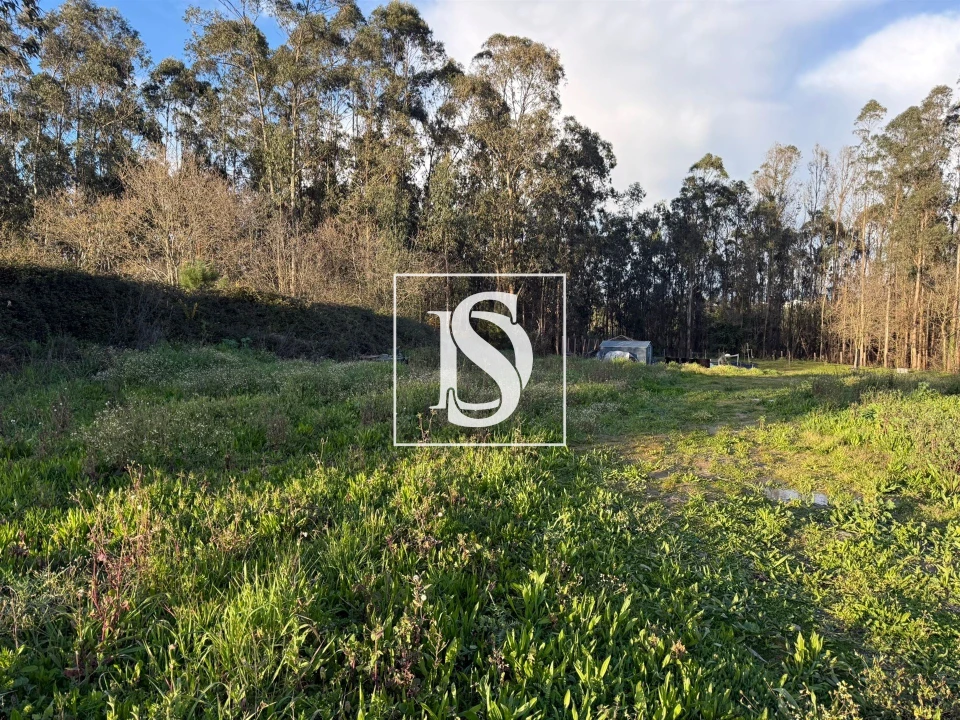 Terreno para Venda em Arvore Foto 2
