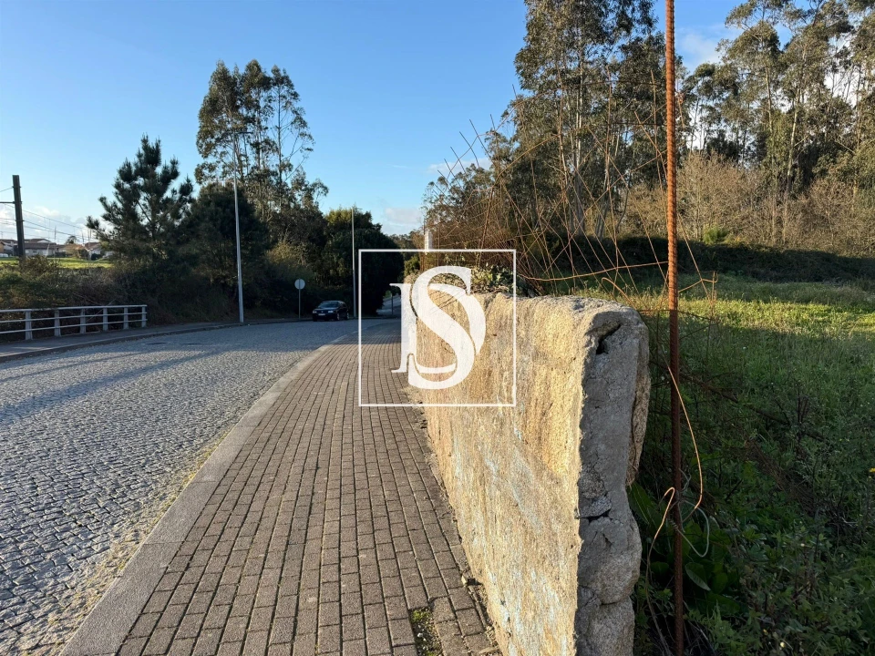 Terreno para Venda em Arvore Foto 8