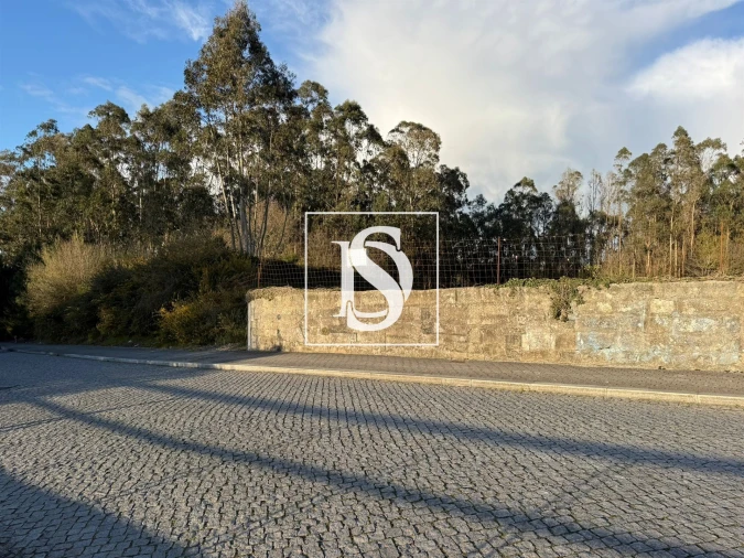 Terreno para Venda em Arvore Foto 5