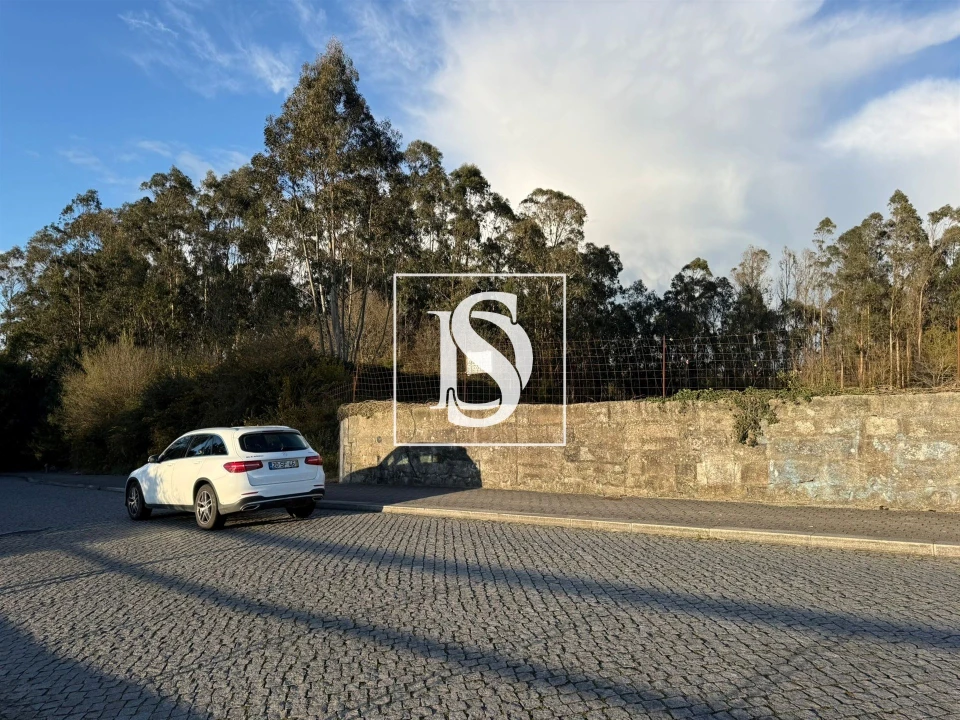 Terreno para Venda em Arvore Foto 6