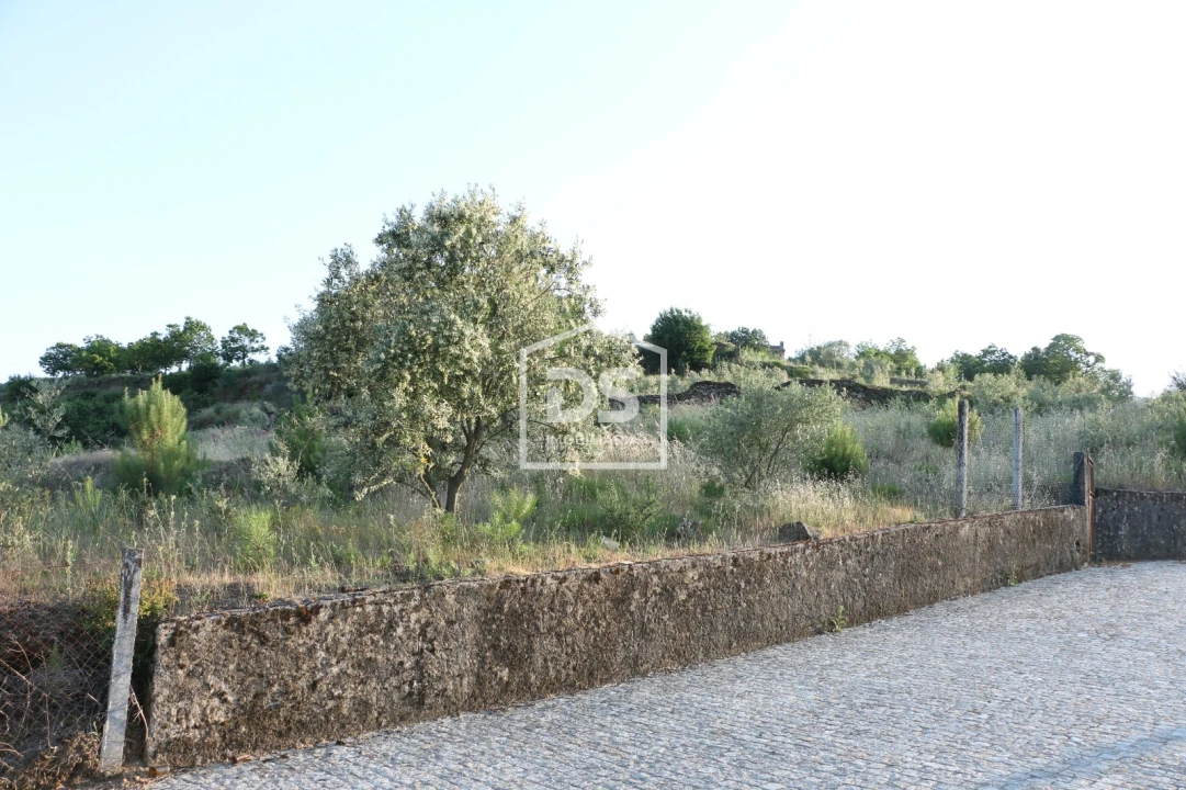 Terreno para Venda em Ferreiros de Avões Foto 4