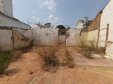 Moradia para Venda em São Miguel do Rio Torto e Rossio Ao Sul do Tejo