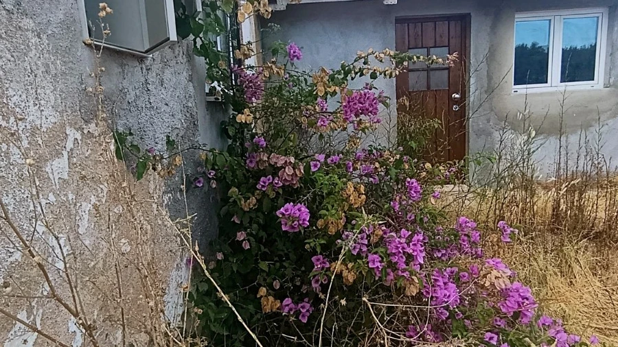 Moradia T2 para Venda em Mouriscas