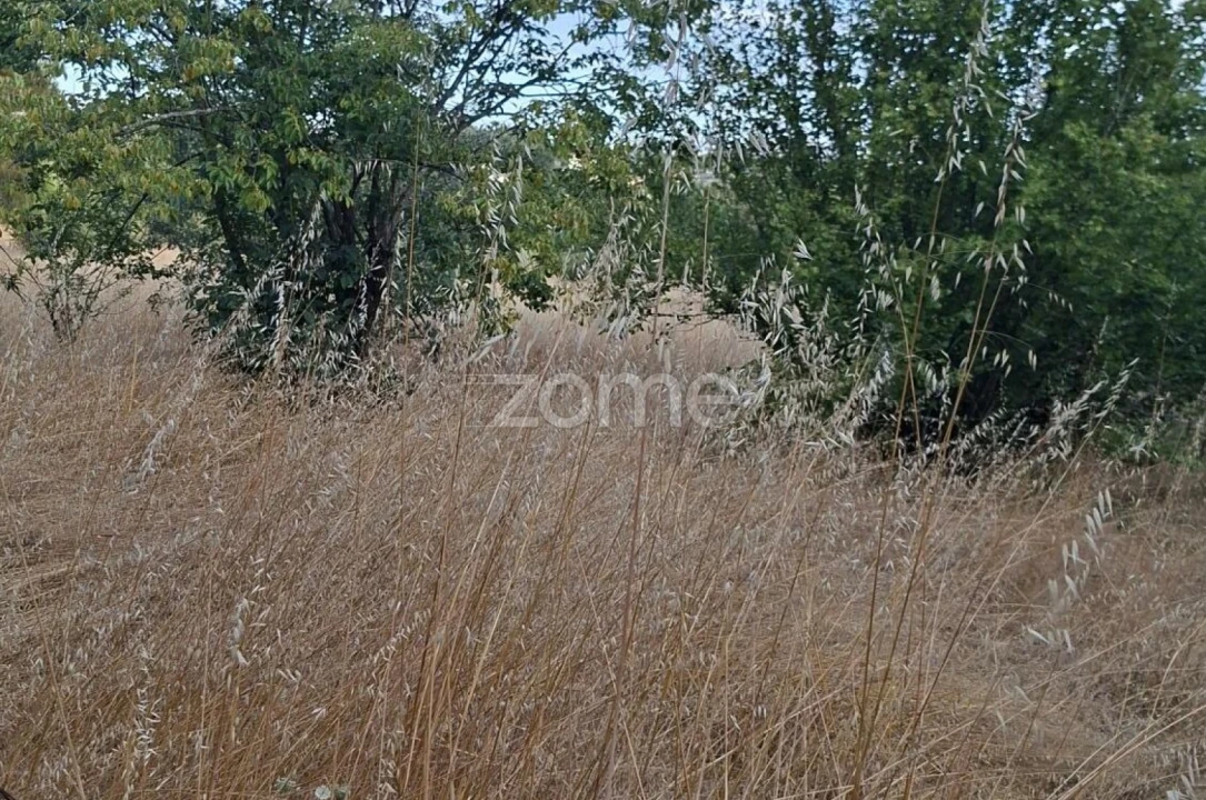 Quinta T2 para Venda em Travanca de Lagos Foto 13