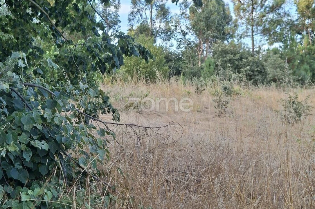Quinta T2 para Venda em Travanca de Lagos Foto 19
