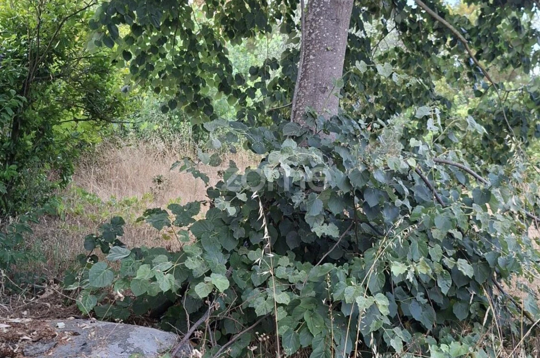 Quinta T2 para Venda em Travanca de Lagos Foto 20