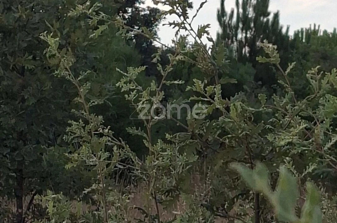 Quinta T2 para Venda em Travanca de Lagos Foto 25