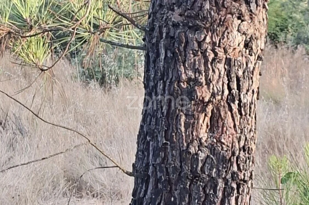 Quinta T2 para Venda em Travanca de Lagos Foto 27