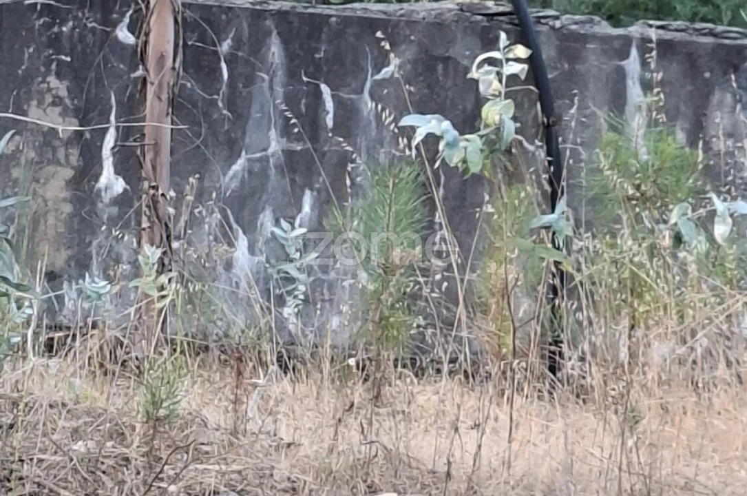 Quinta T2 para Venda em Travanca de Lagos Foto 33