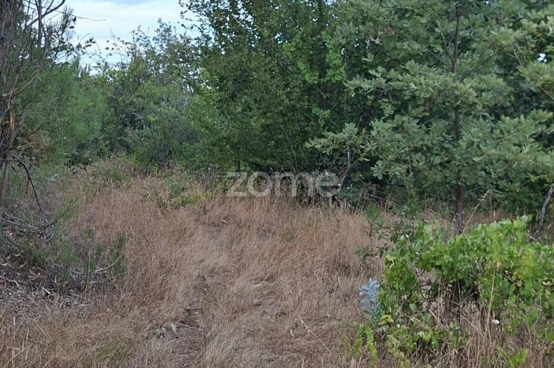 Quinta T2 para Venda em Travanca de Lagos Foto 34